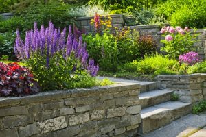 Some Practical Ideas For Designing You Own Landscape